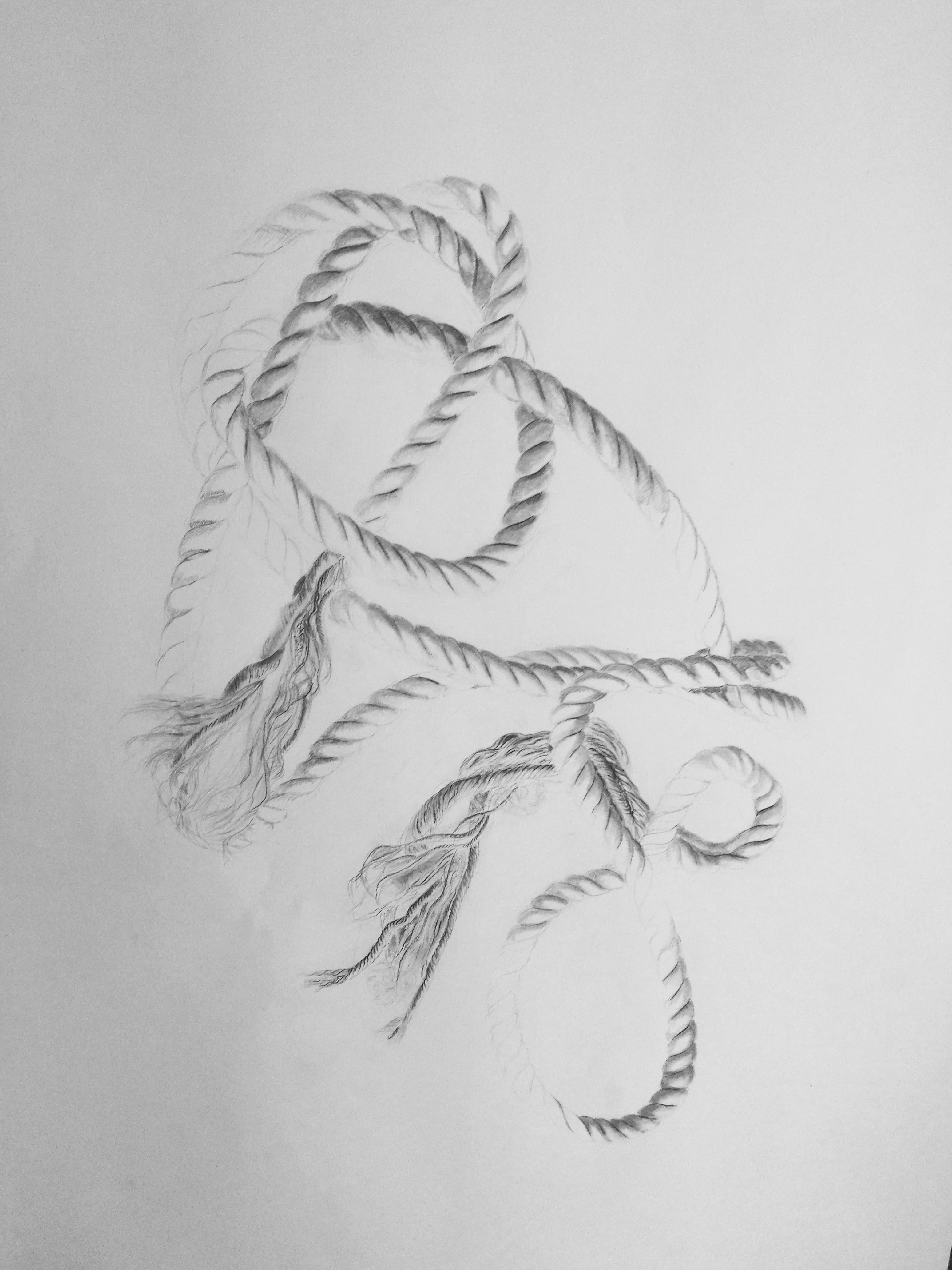 Entrelac copie