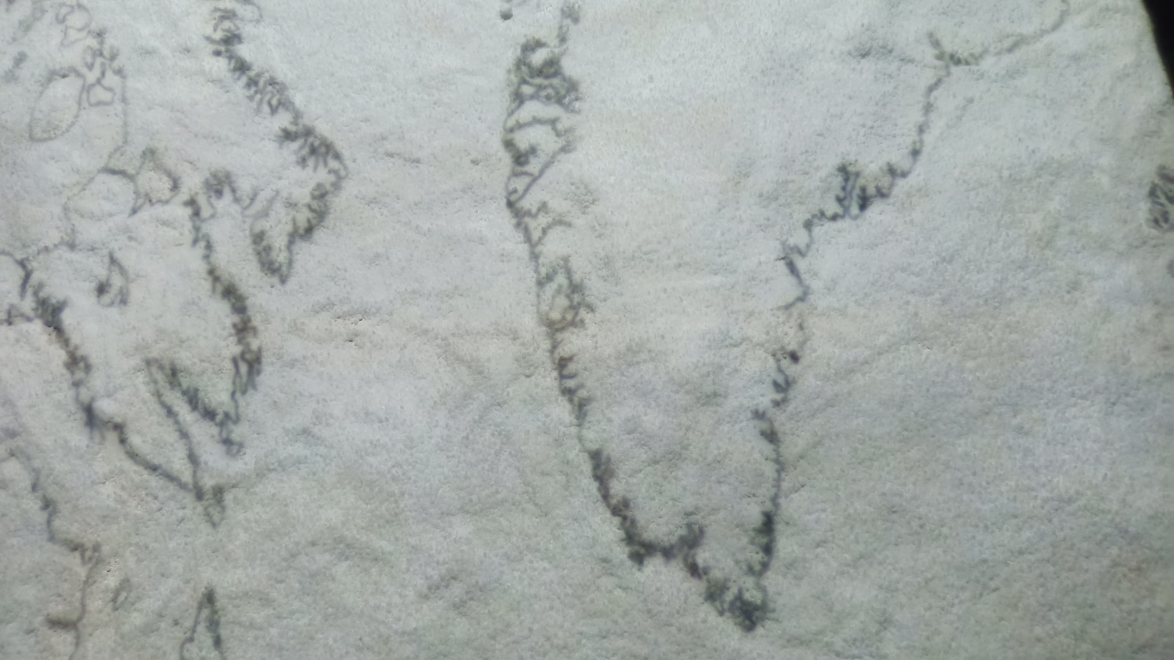 Groenland Baffin