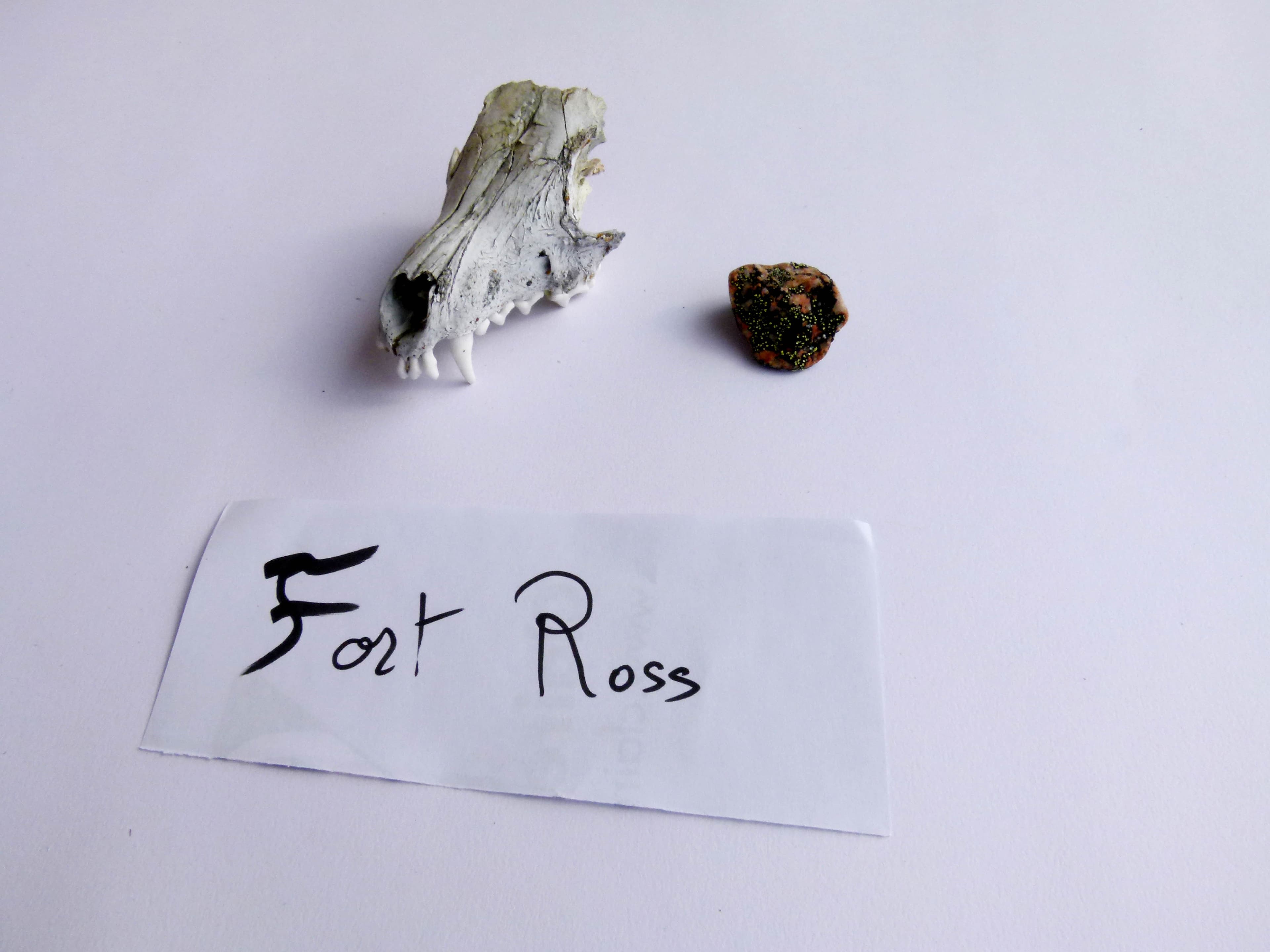 Fort Ross.jpg