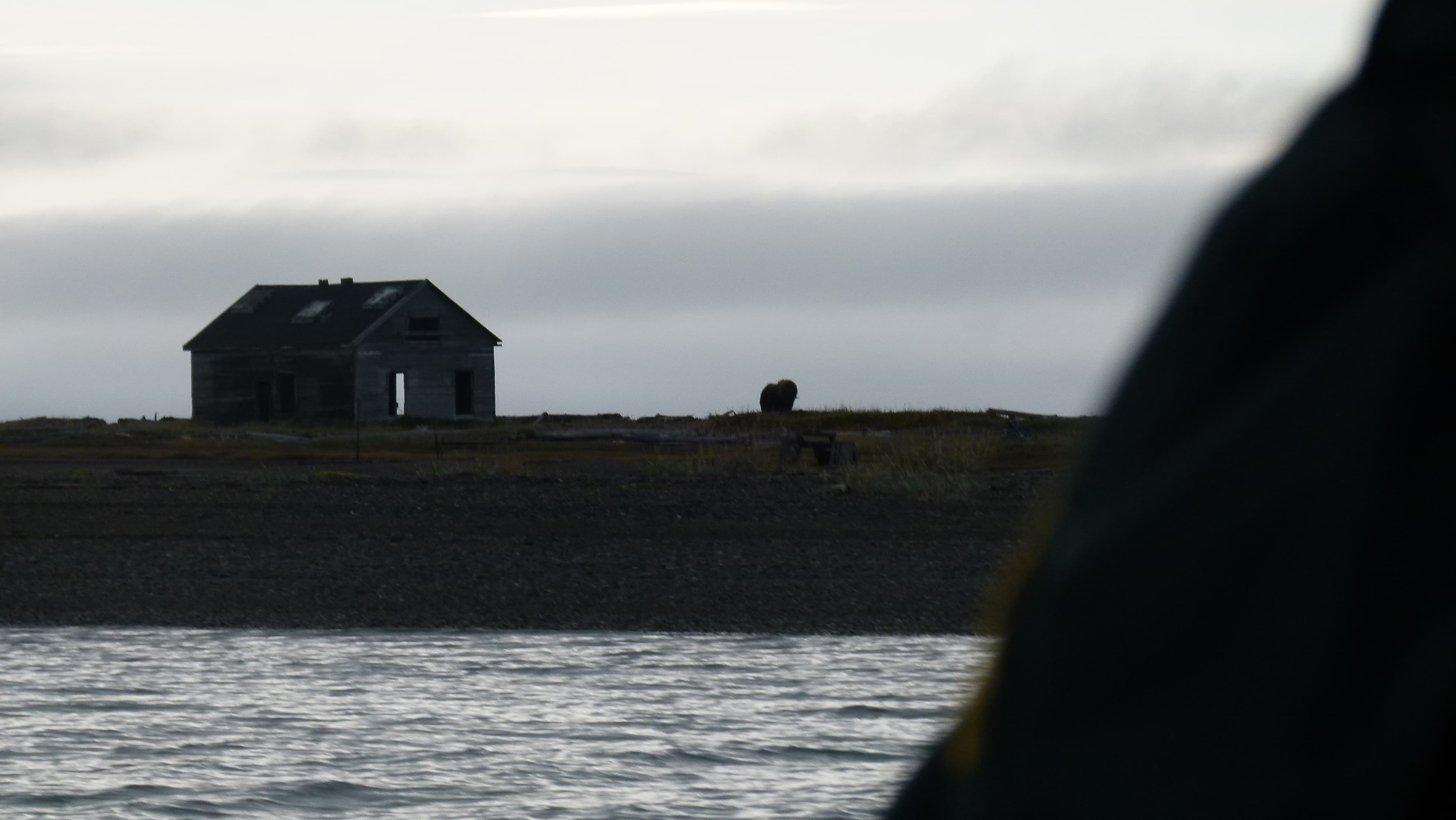 P1080427.JPG