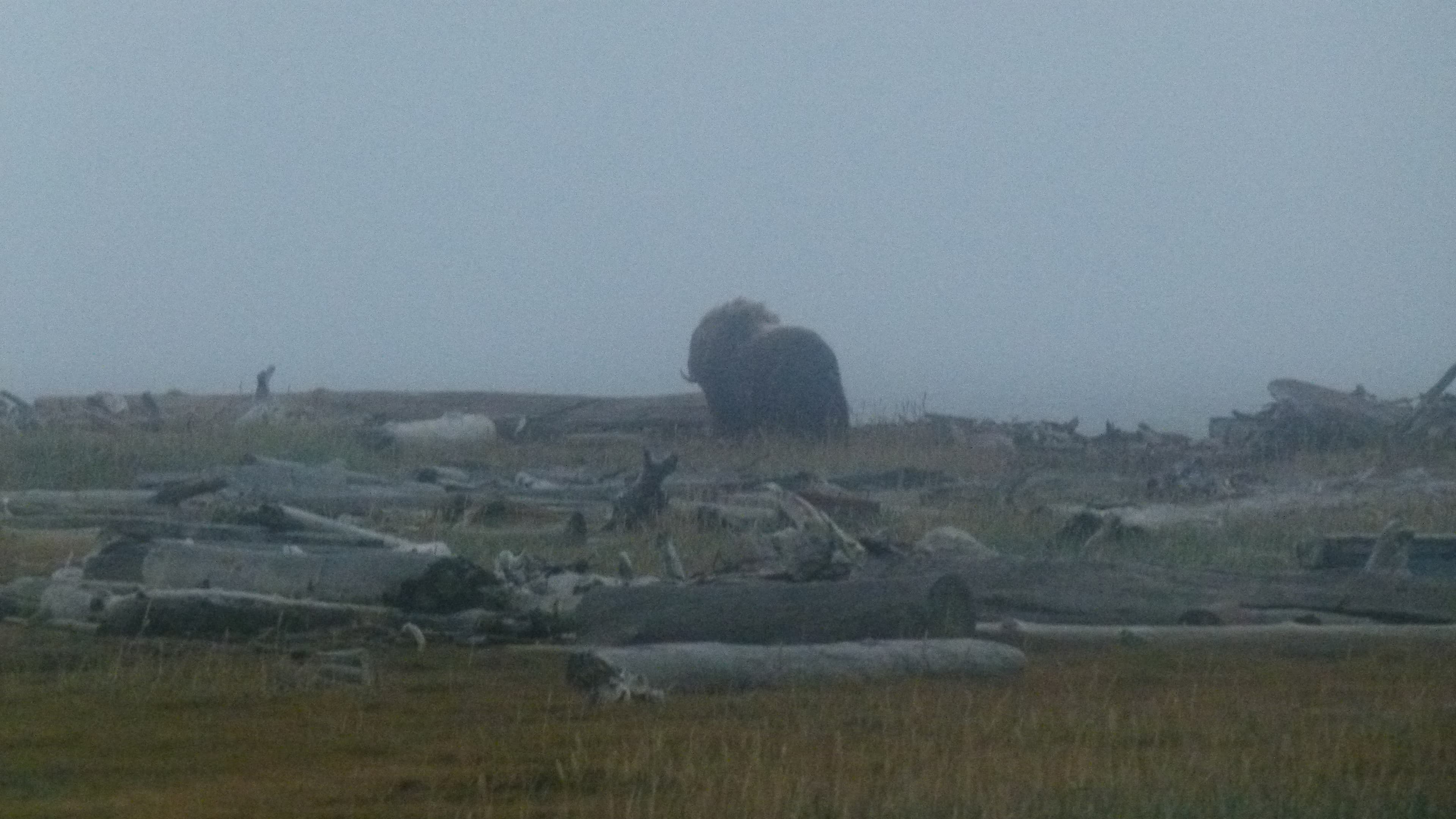 P1080443.JPG