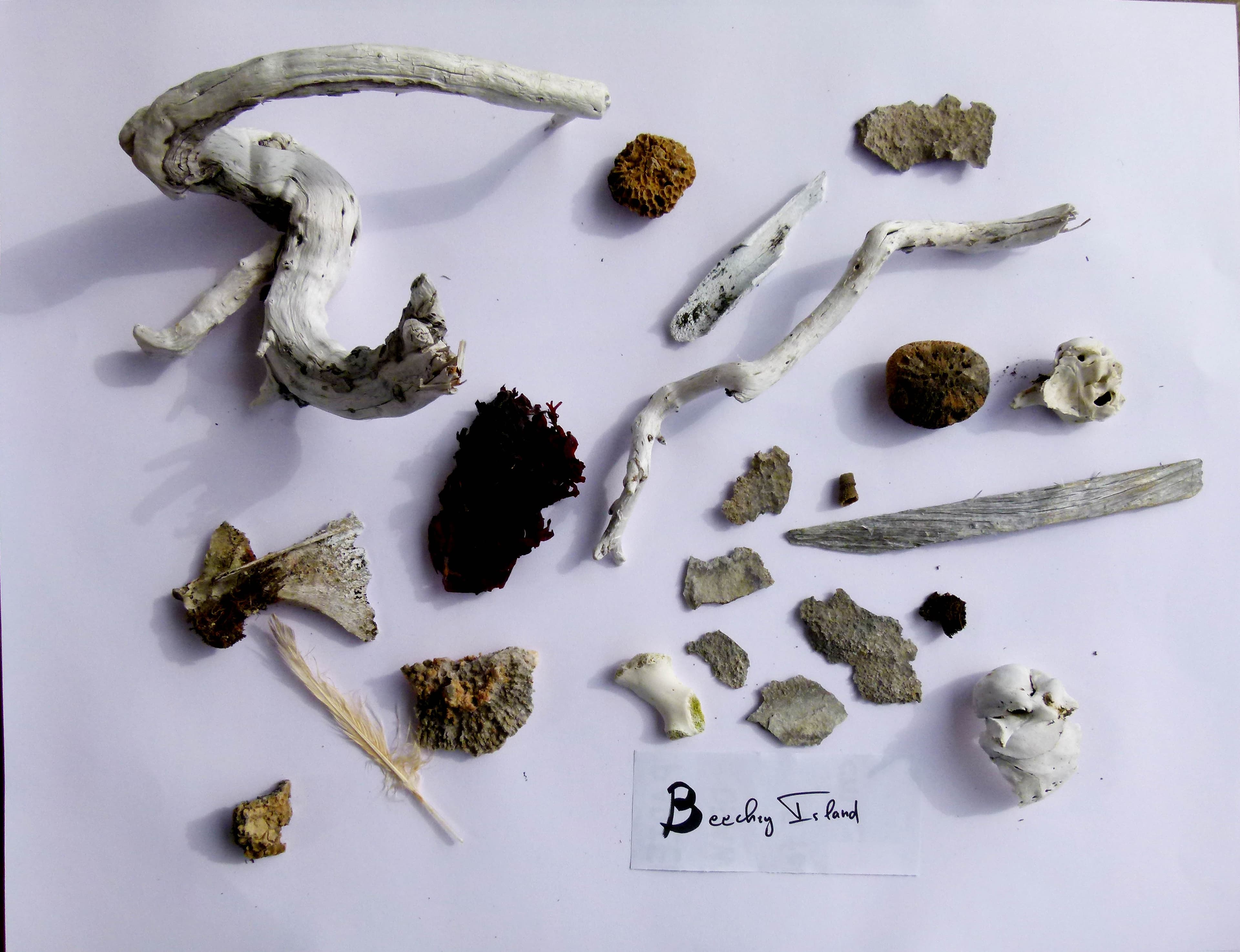 Beechey-Island.jpg