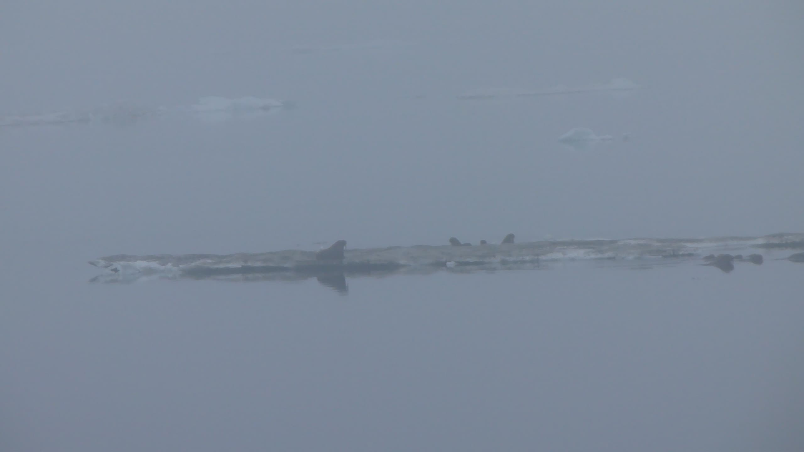 P1080466.JPG