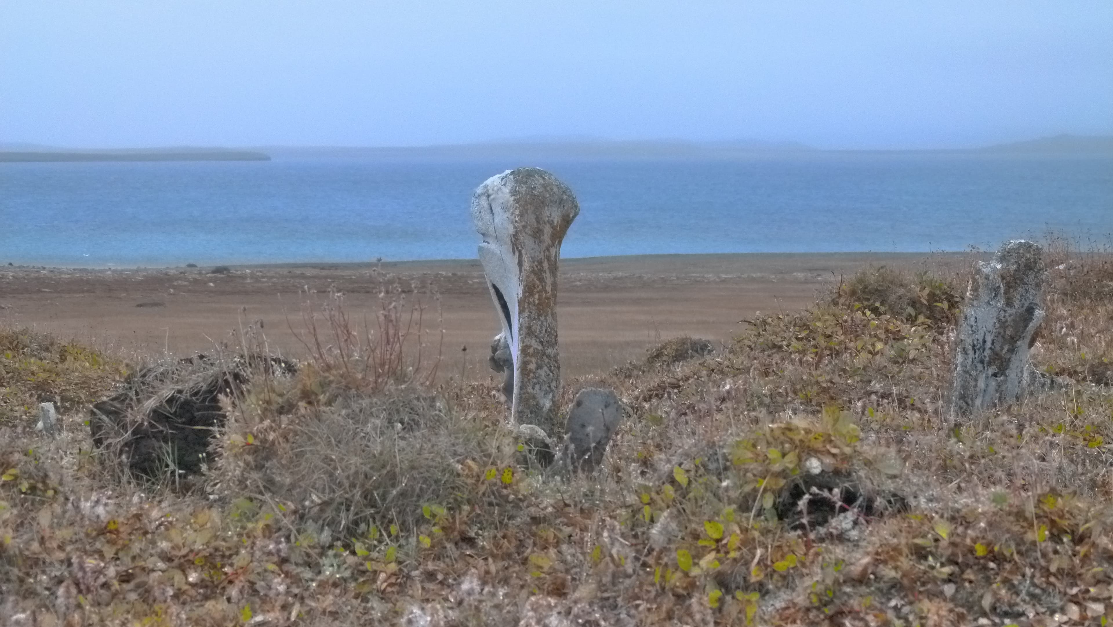 1-Qariarqaqjuk.JPG