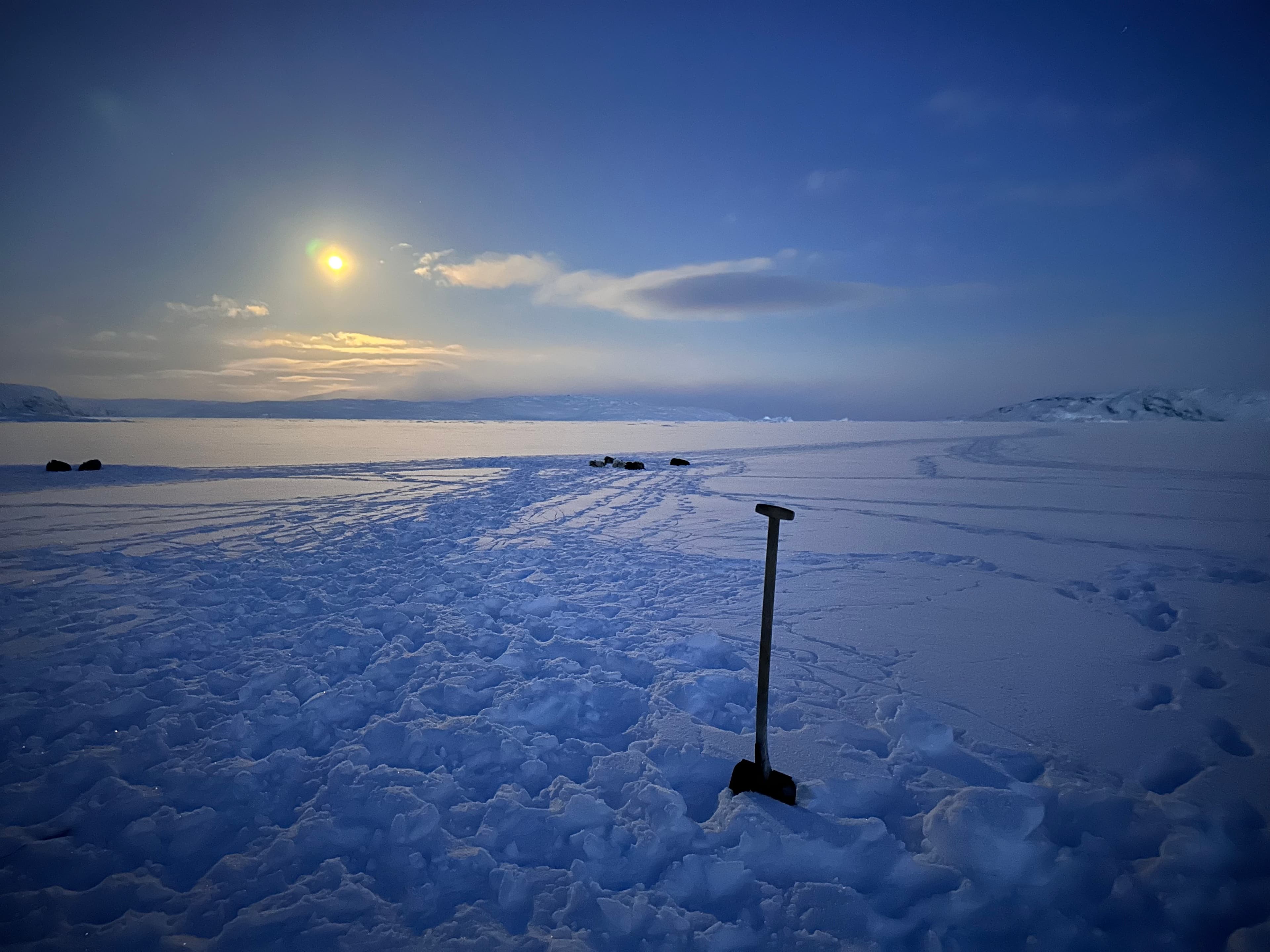 Nuna Nutaaq