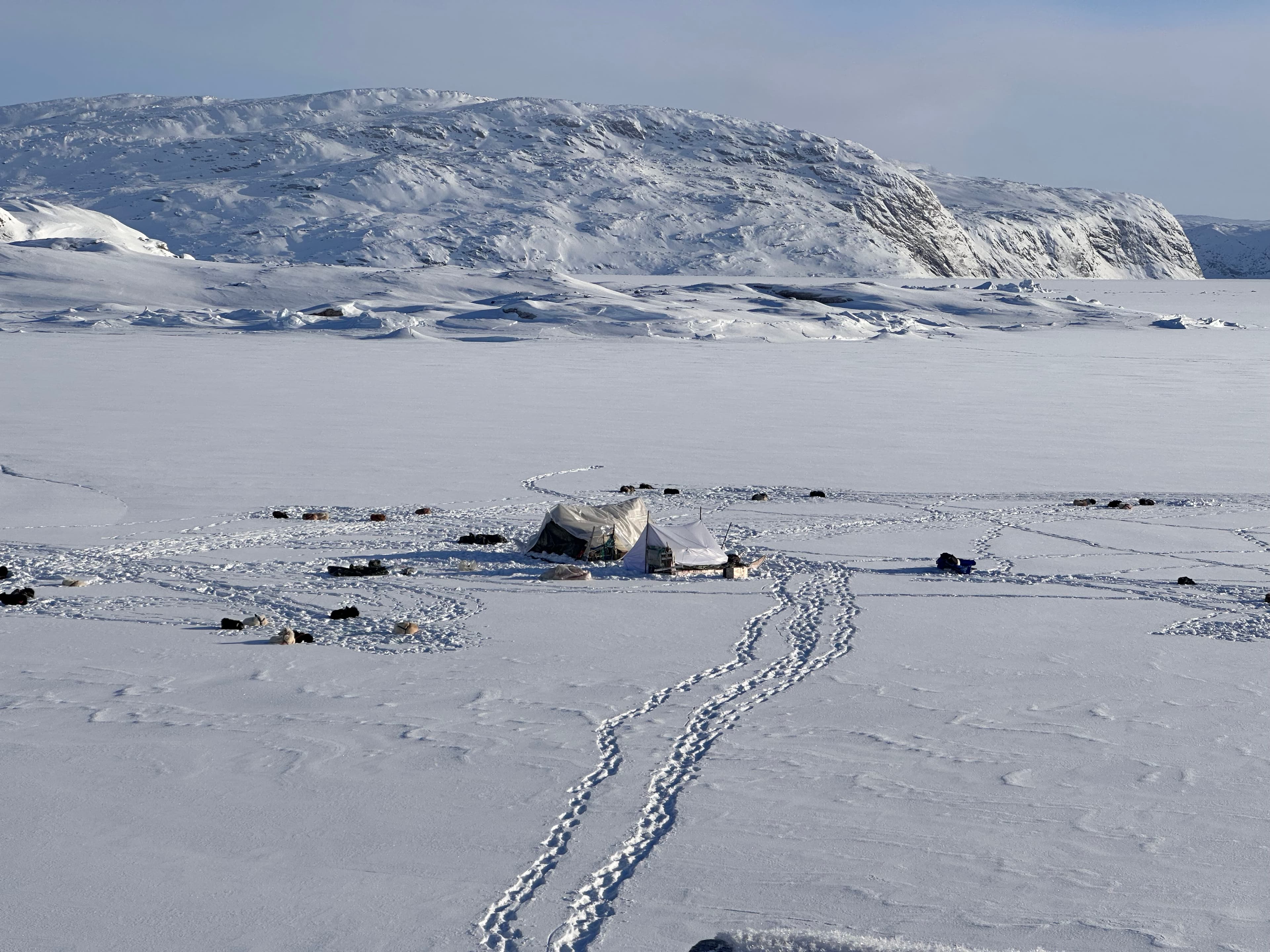 Nuna Nutaaq
