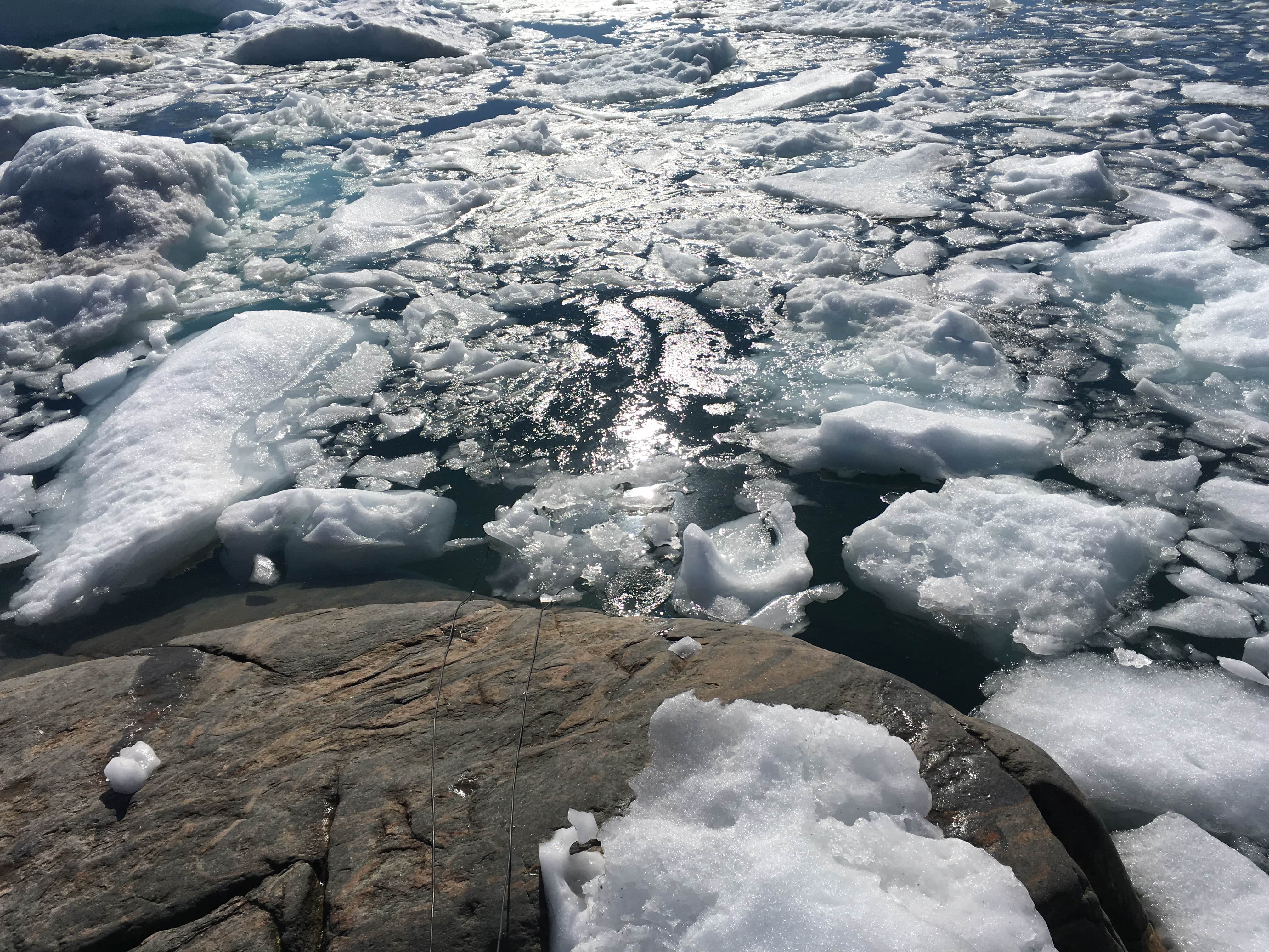 Disko Bay